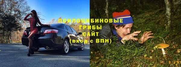 а пвп мука Абаза